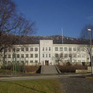 Fridalen skole