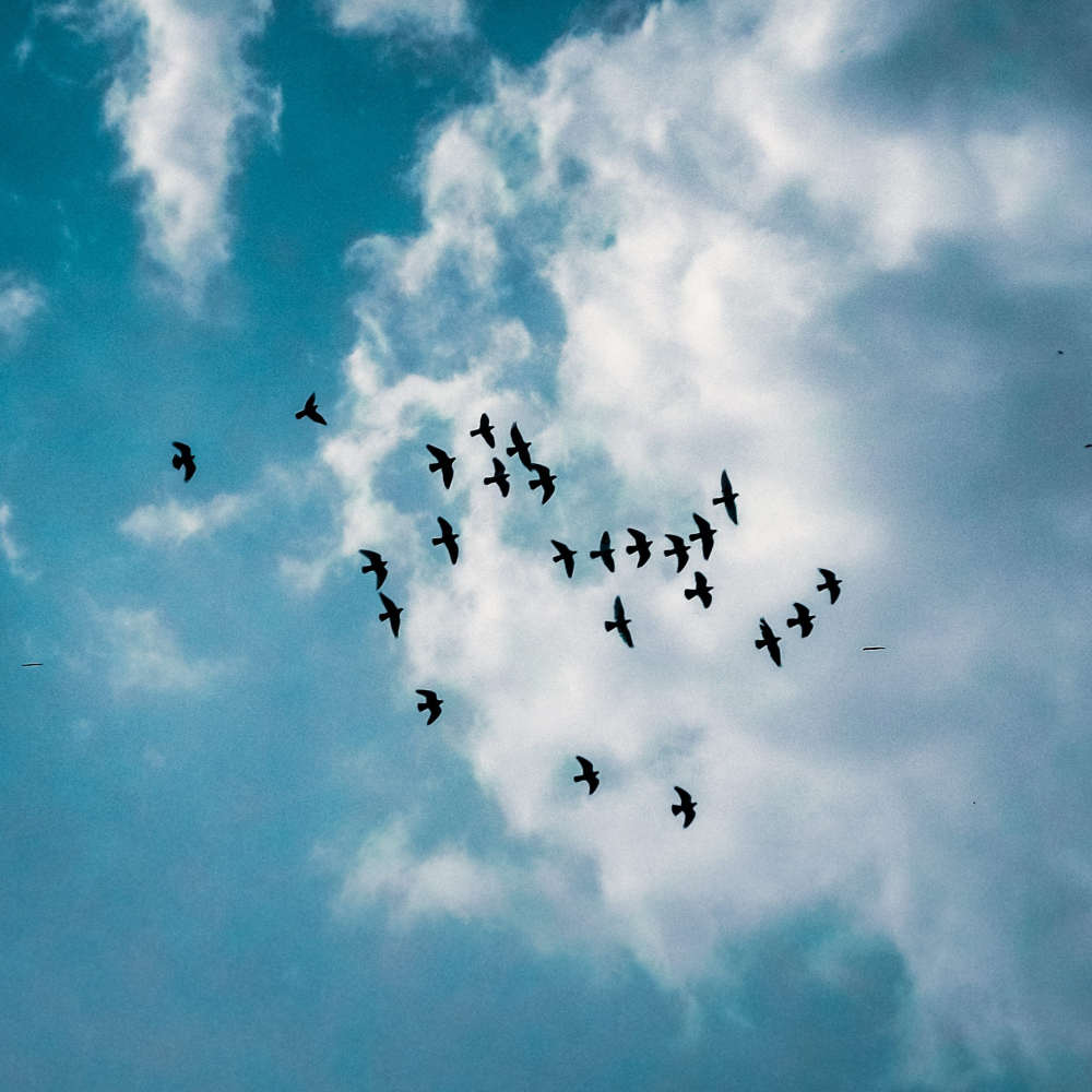 Vi har signert! OPPROP FOR KLIMAKRAV I TEK